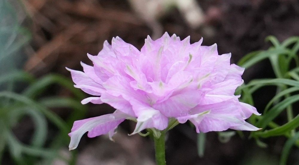 Photograph by Михаил Трусов