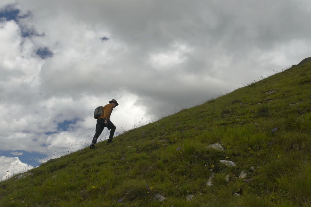 Фотография автора Медведев Сергей