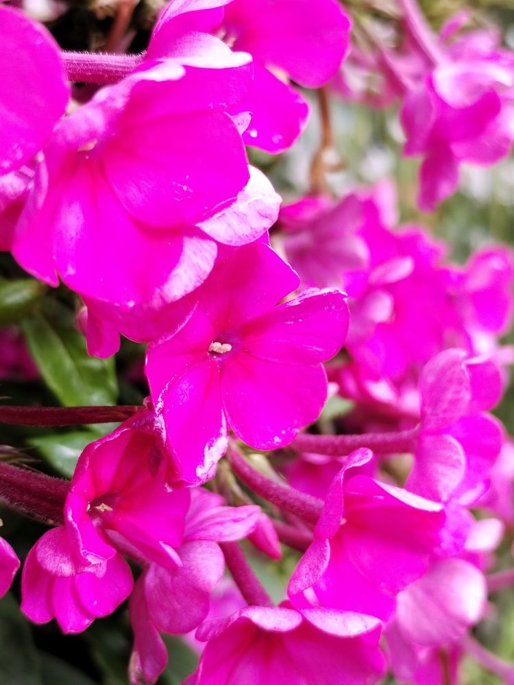 Photograph by Юлия Ю.