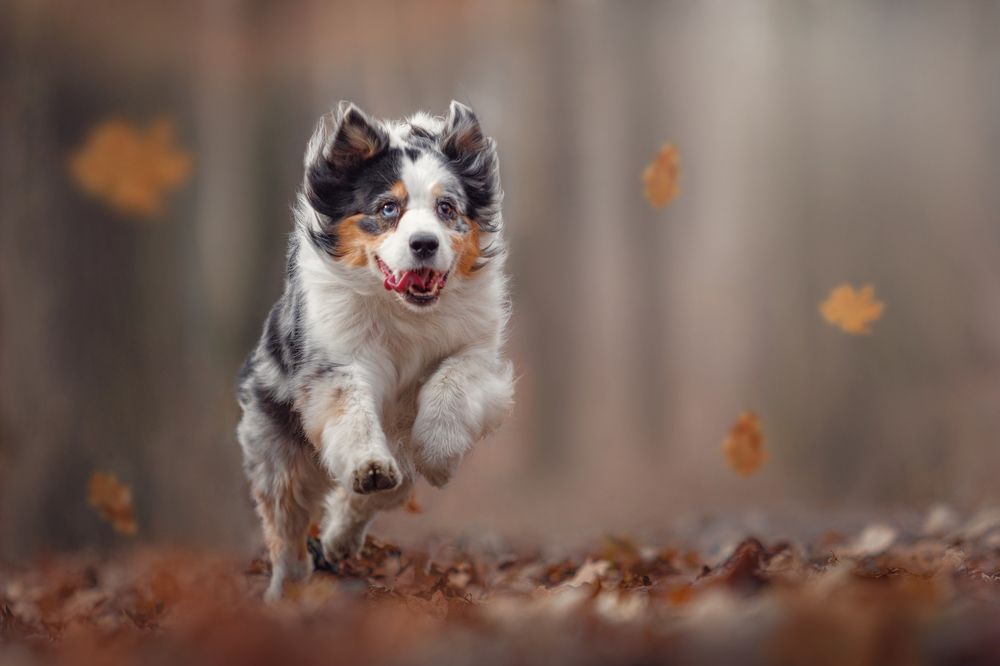 Photograph by Яна Нарбутович