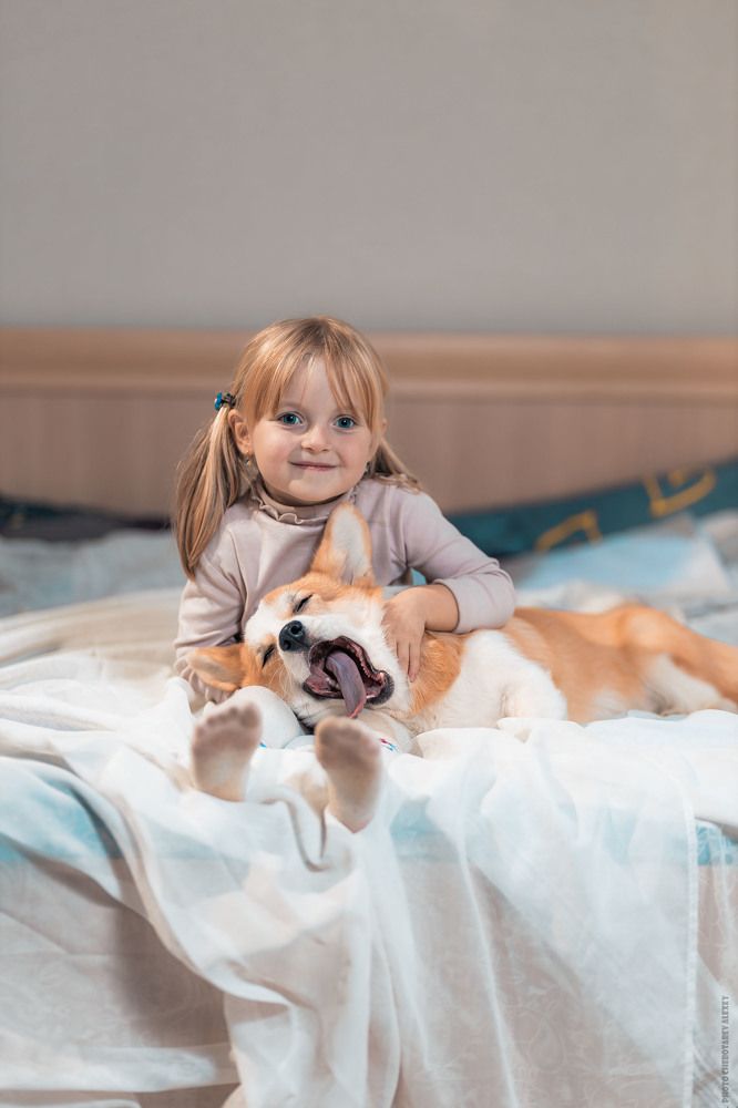 Photograph by Алексей Чеботарев