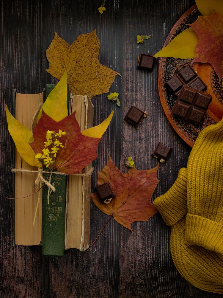 Фотография автора Ольга Панасюк