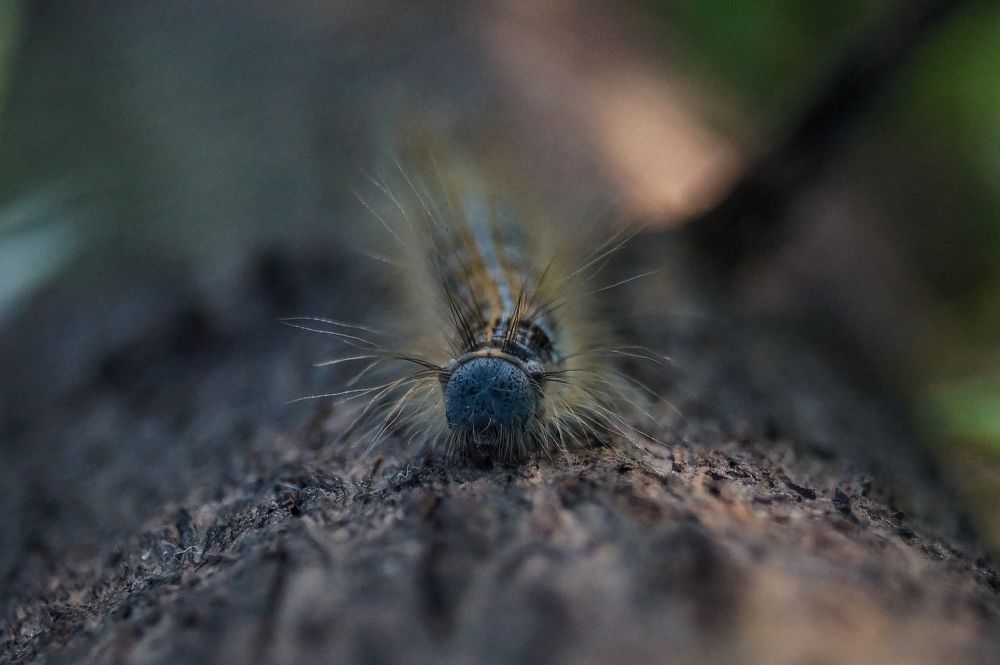 Photograph by Виктор Сёмушкин