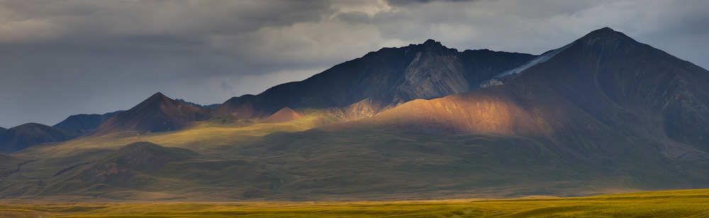 Photograph by Игорь Щербаков