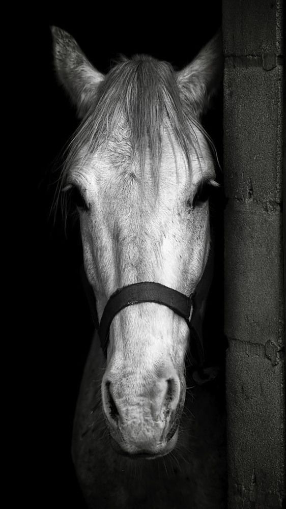 Photograph by MARCELO GIORGI