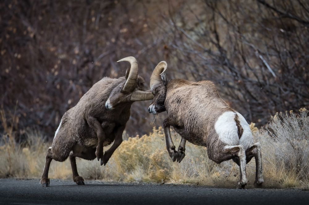 Photograph by Tony Douzenis