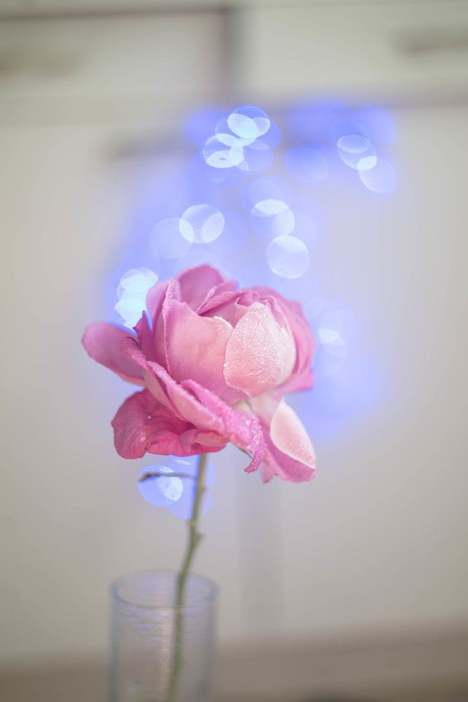 Photograph by Наталья Лещинская