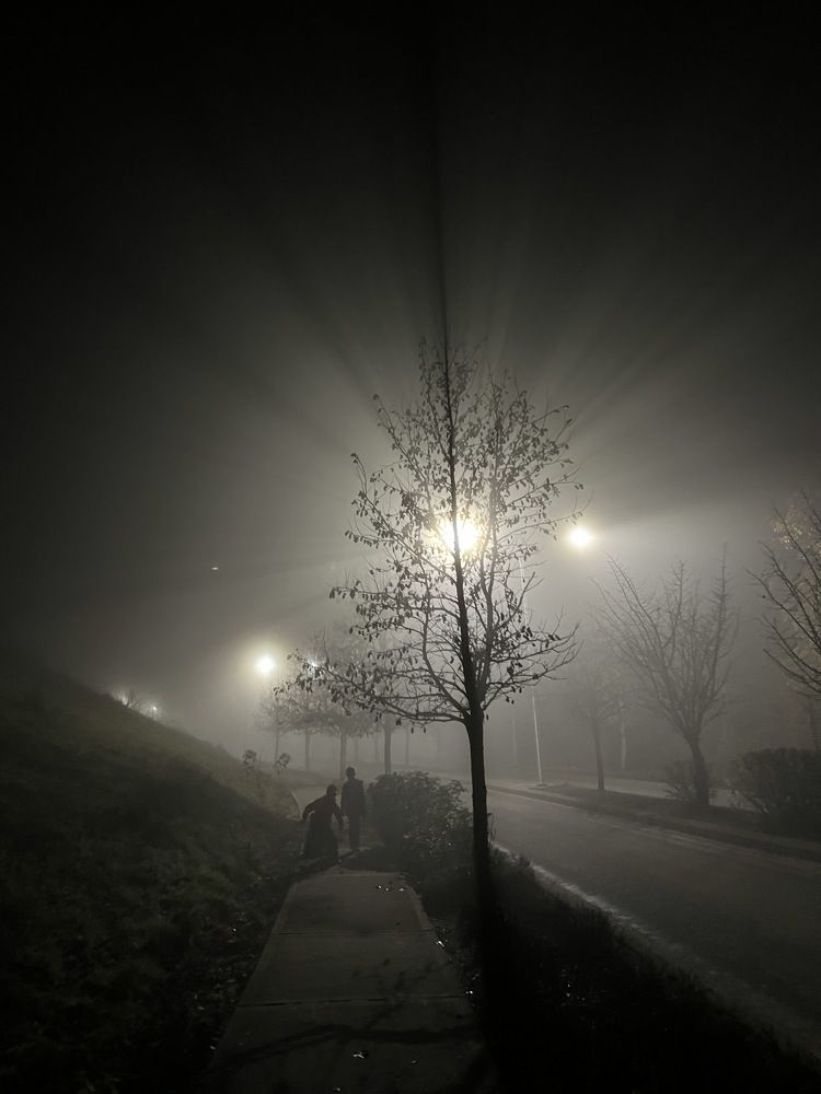 Фотография автора Diana