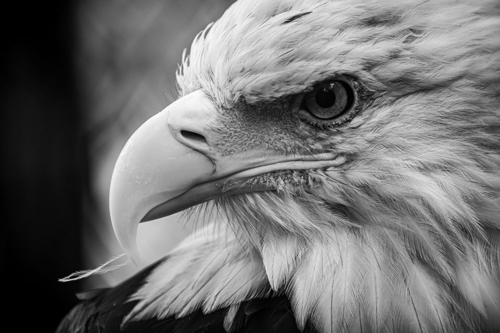 Photograph by Елена Берсенёва