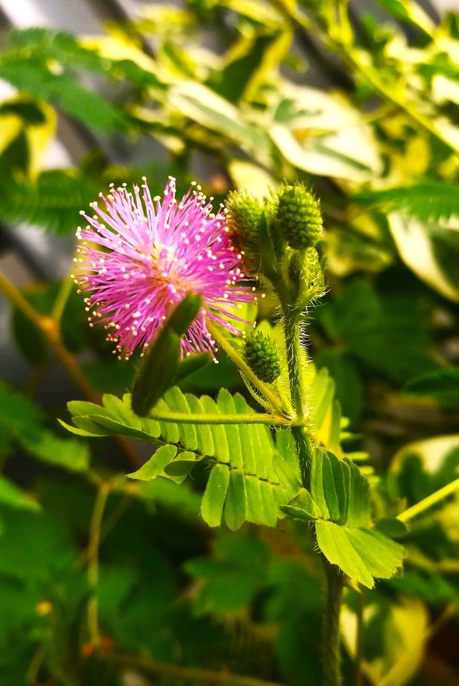 Photograph by Rajesh Sheth