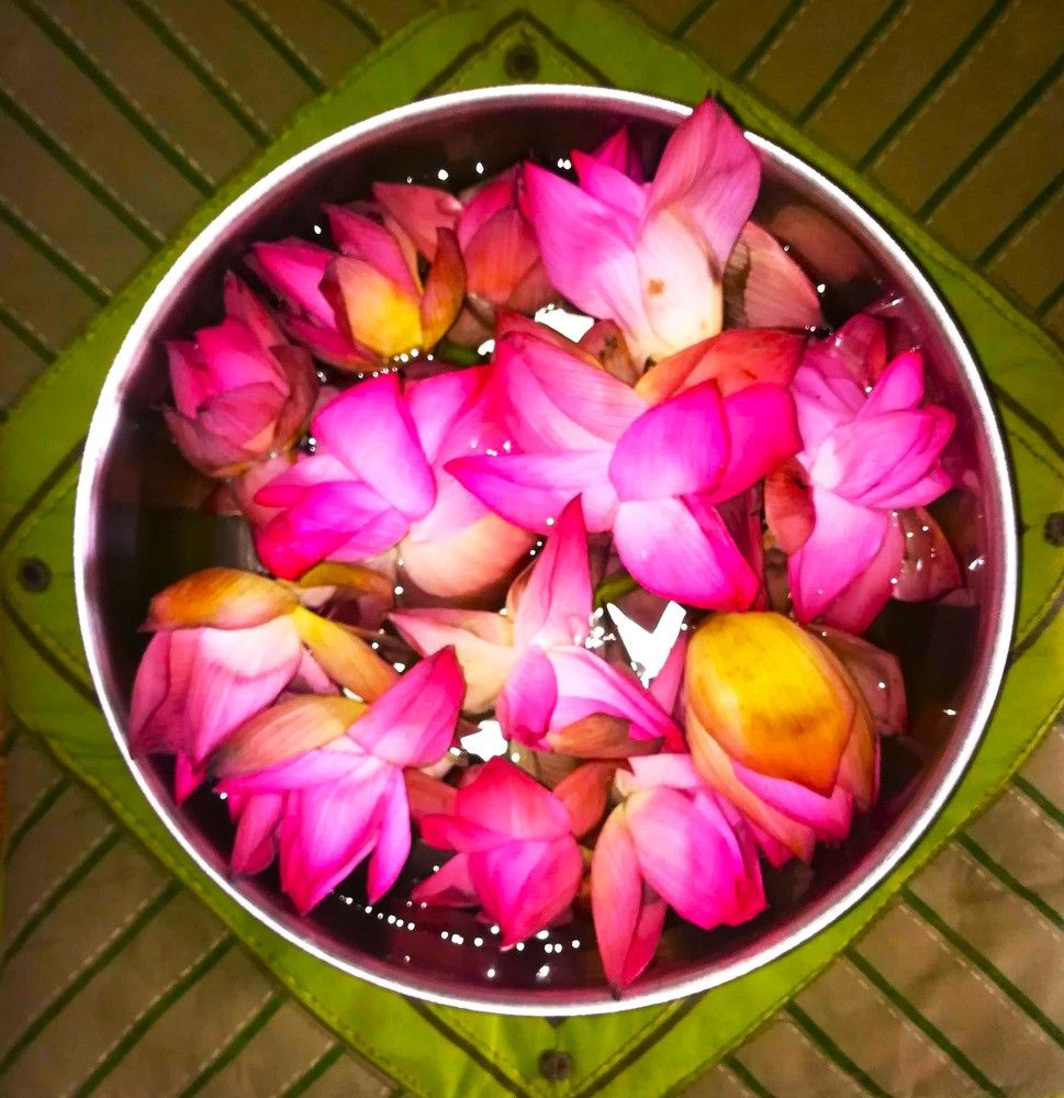 Photograph by Rajesh Sheth