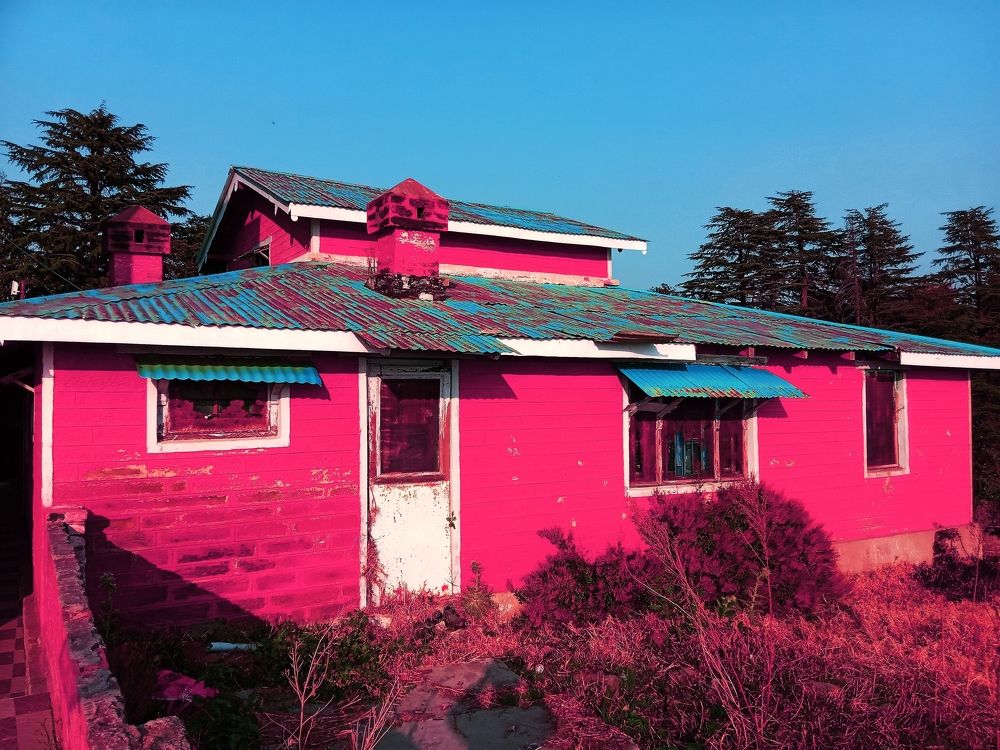 Photograph by Ritu Dinkar