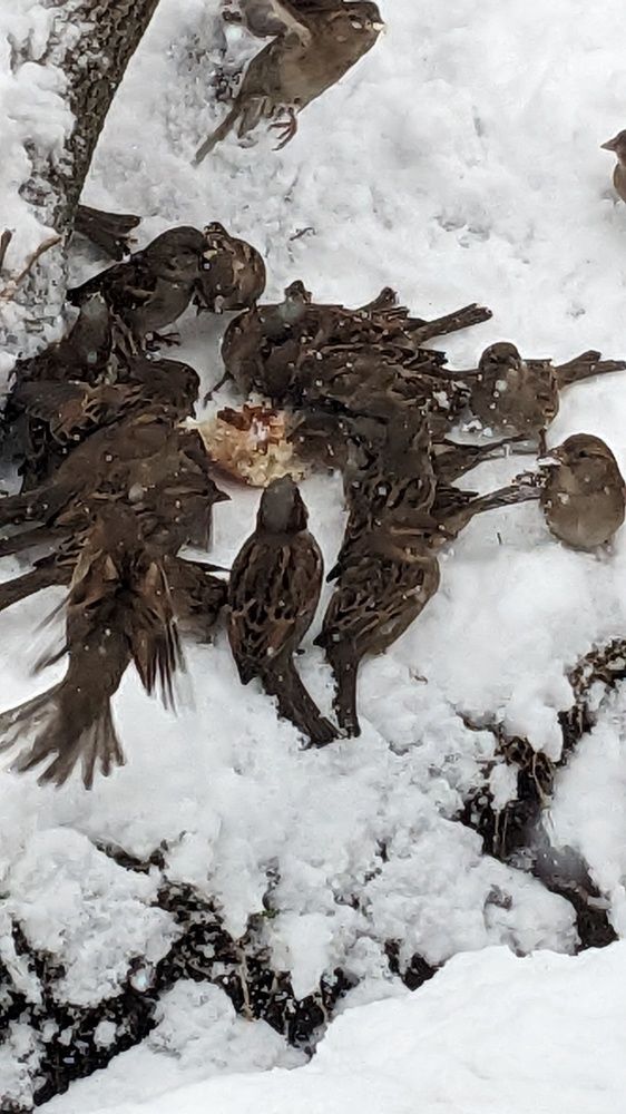 Photograph by Lilit Petrosyan