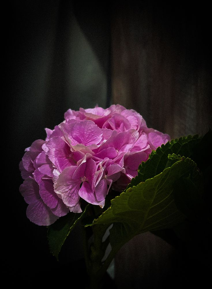 Photograph by Анна Пигулевская