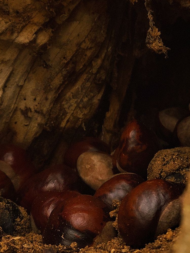 Photograph by Алина