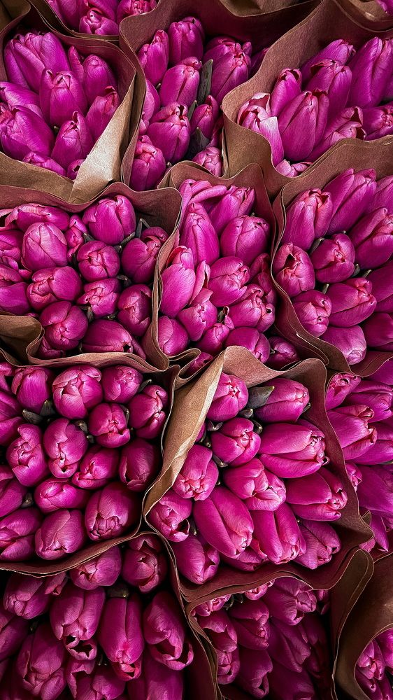 Photograph by Анна Пигулевская