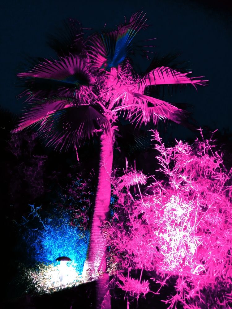 Photograph by Kapil Singh