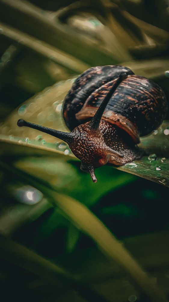 Photograph by Екатерина Никитина