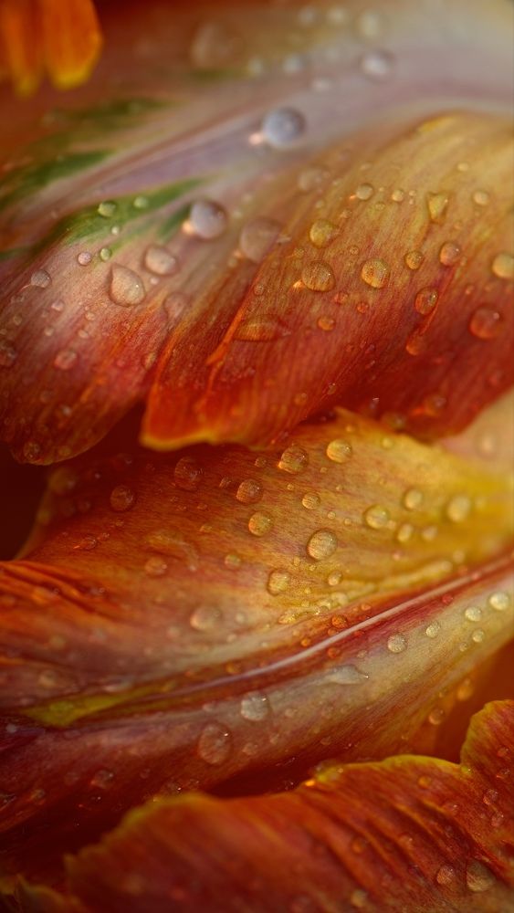 Фотография автора Юрий Кашлевский