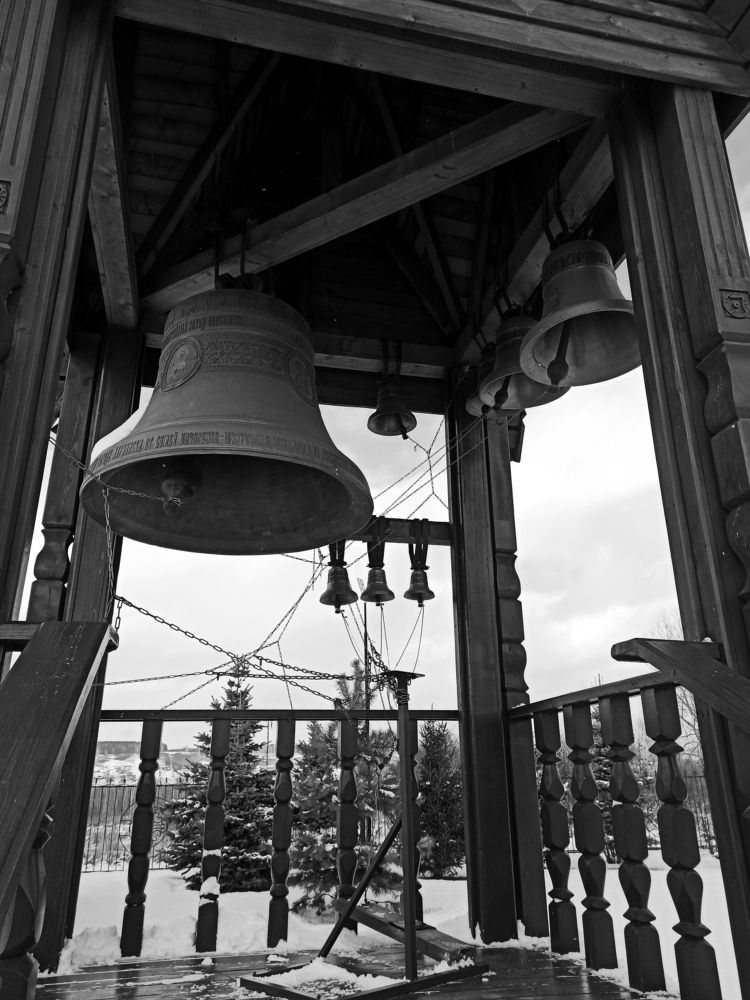 Фотография автора Юлия Сурина