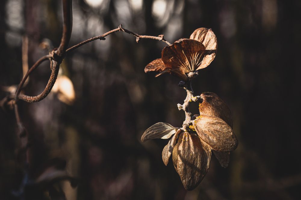 Фотография автора Ирина Гриценко