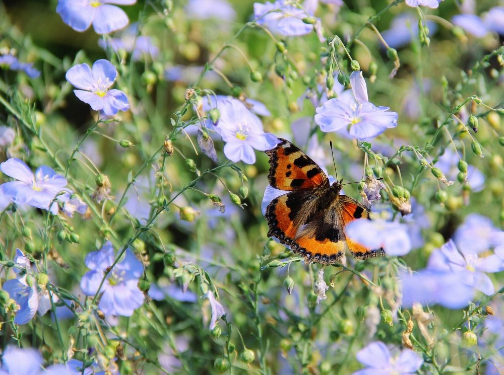 Photograph by Светлана Булыгина