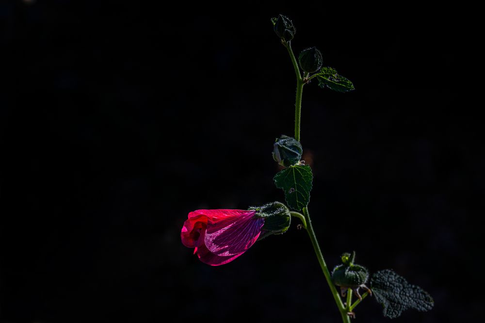 Фотография автора Ирина Гриценко