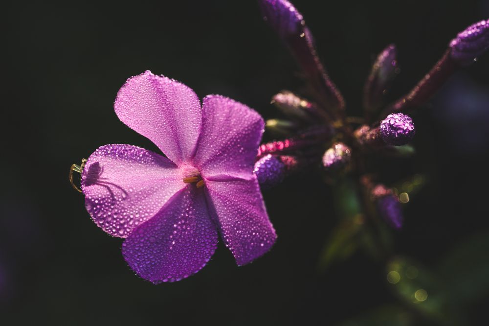 Фотография автора Ирина Гриценко