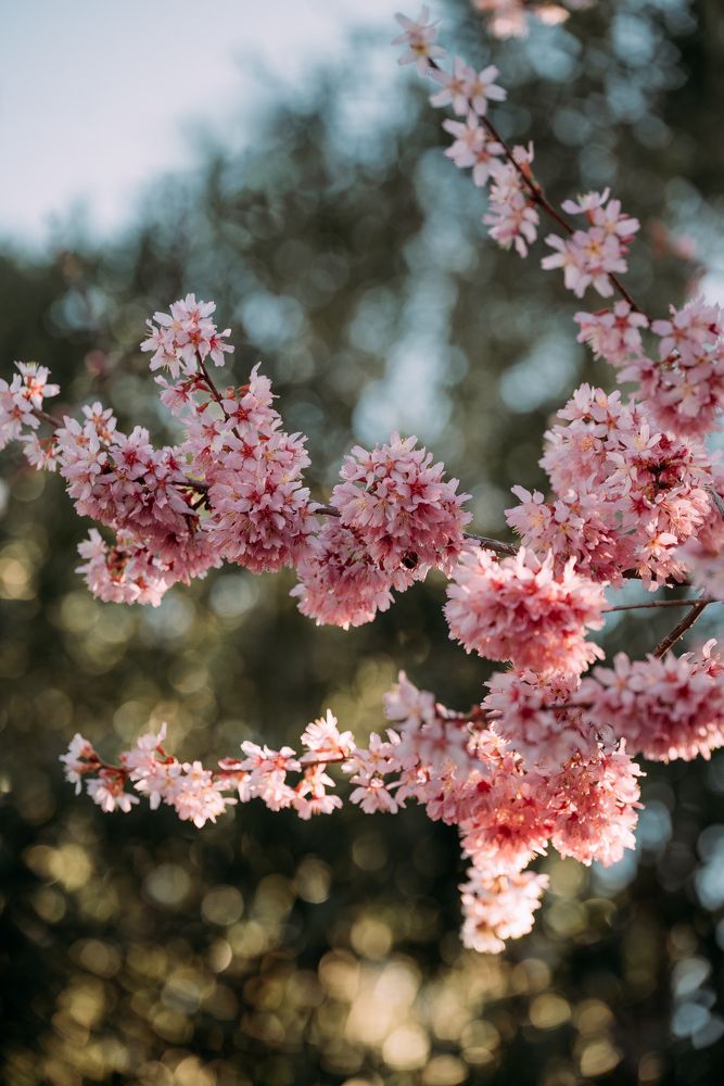 Photograph by Anna Vlasova