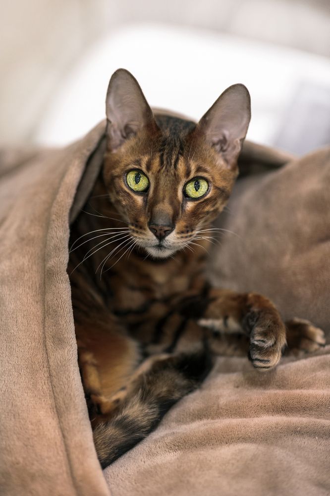 Photograph by Максим Мураков