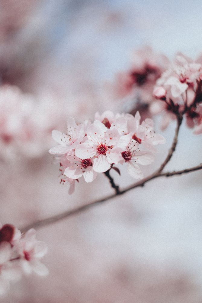 Photograph by Anna Vlasova