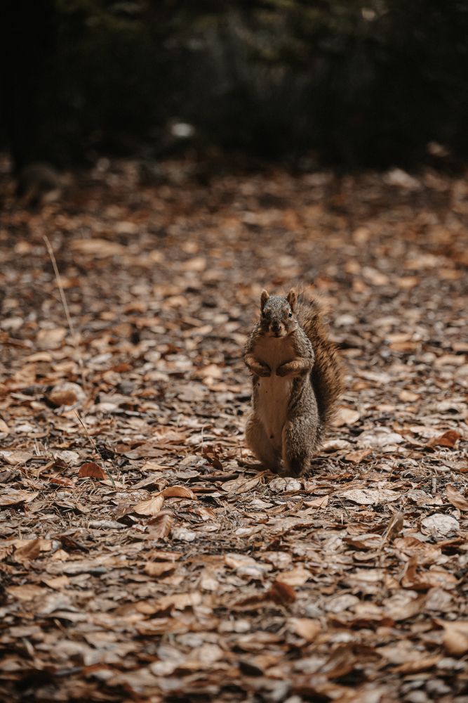 Photograph by Anna Vlasova