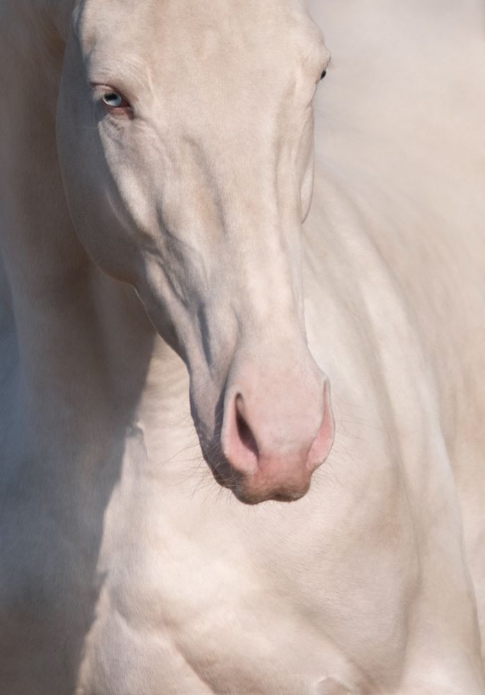 Photograph by Екатерина Михайлова