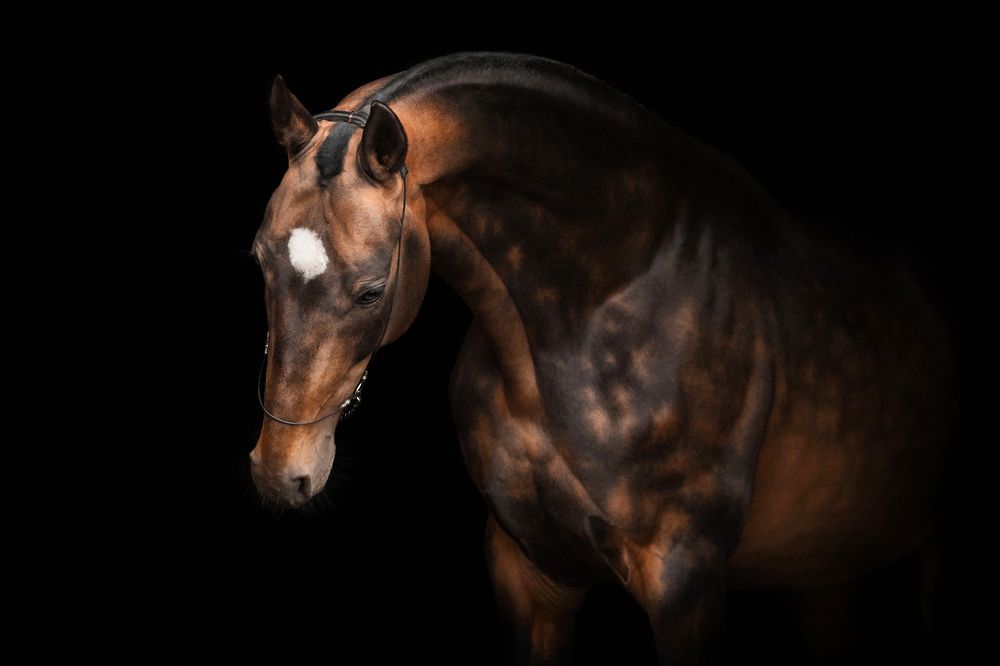 Photograph by Екатерина Михайлова