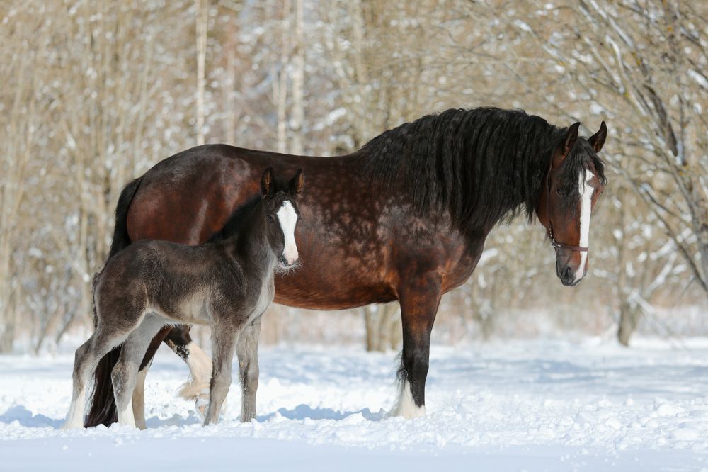 Photograph by Екатерина Михайлова