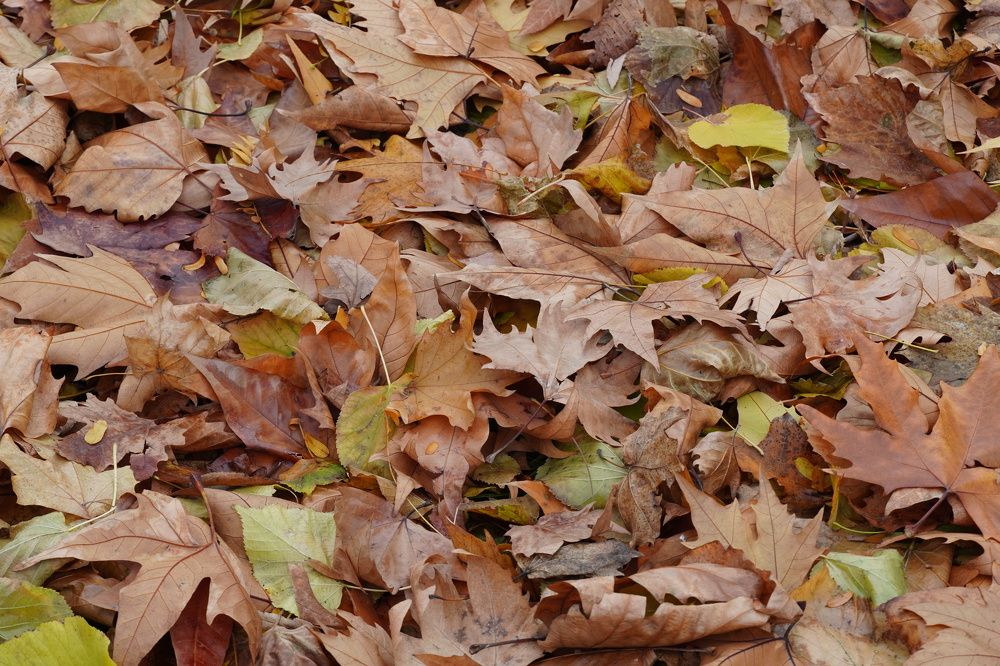 Фотография автора Вадим Коваленко