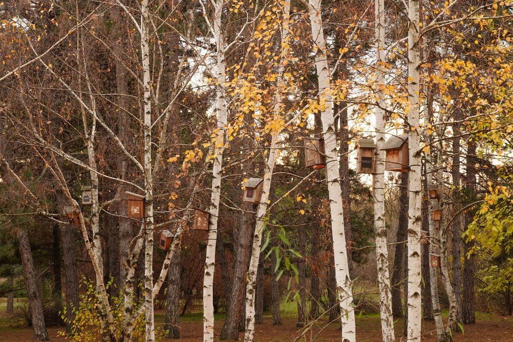 Фотография автора Вадим Коваленко