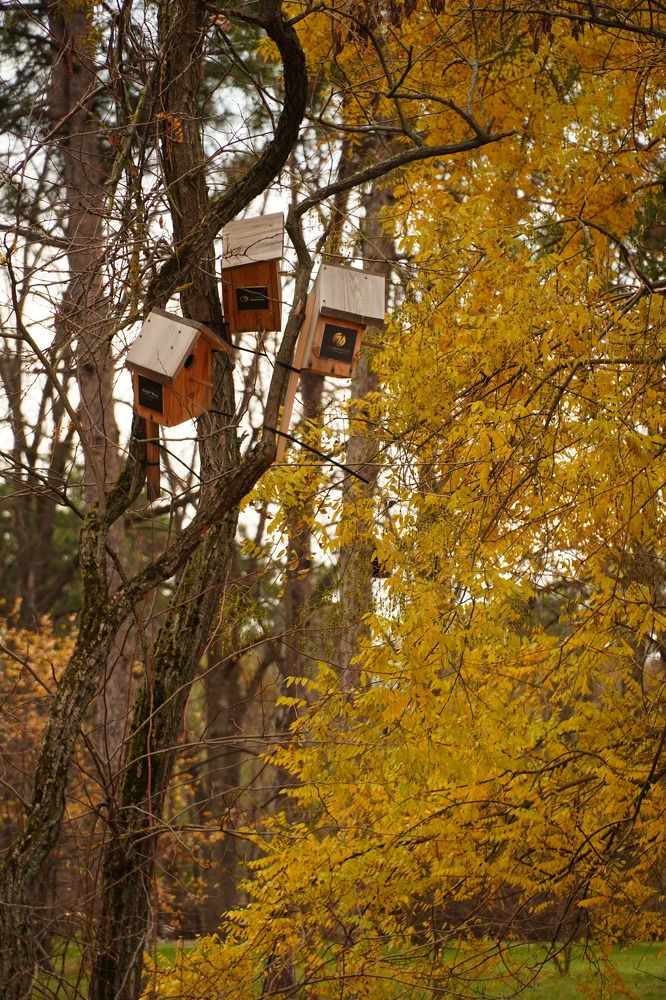 Фотография автора Вадим Коваленко