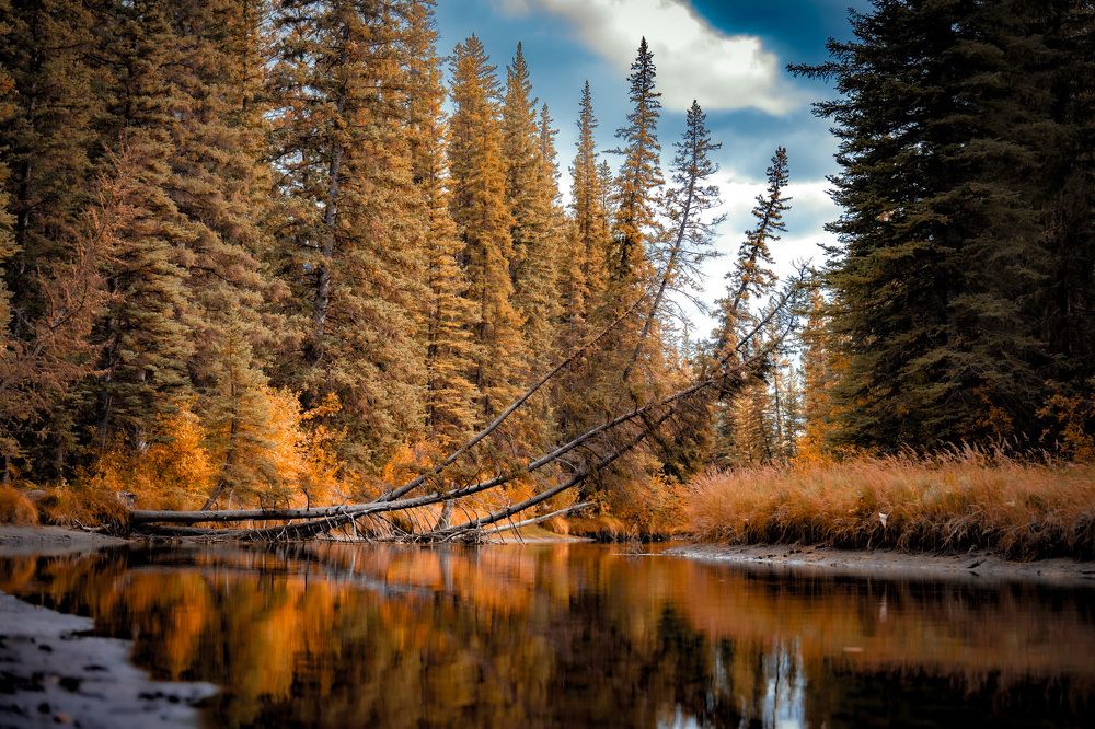 Photograph by Иван Котлобай