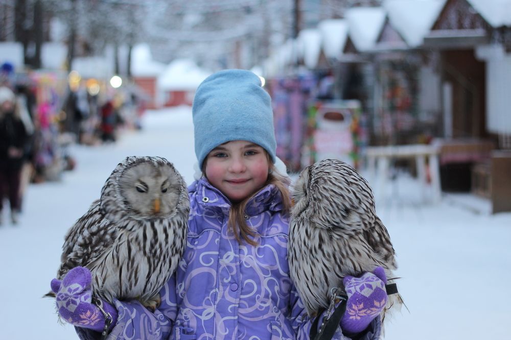 Photograph by Светлана Зотова