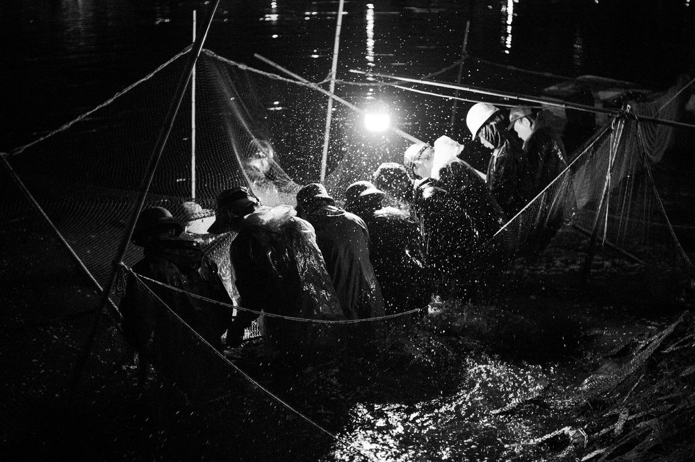 Intensive Fish Farming