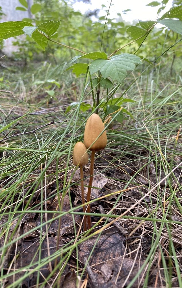 Photograph by Алиса Лукина