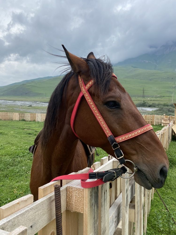 Photograph by Алиса Лукина