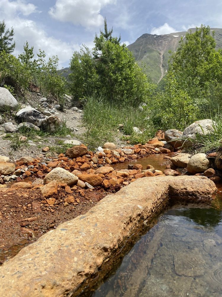 Photograph by Алиса Лукина