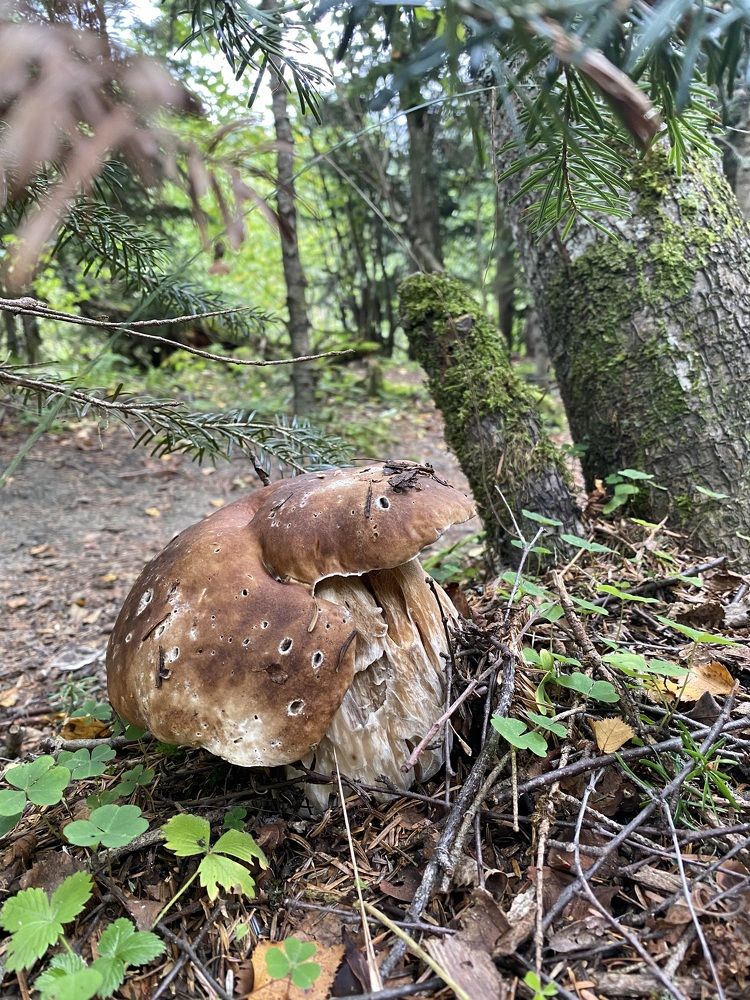 Photograph by Алиса Лукина