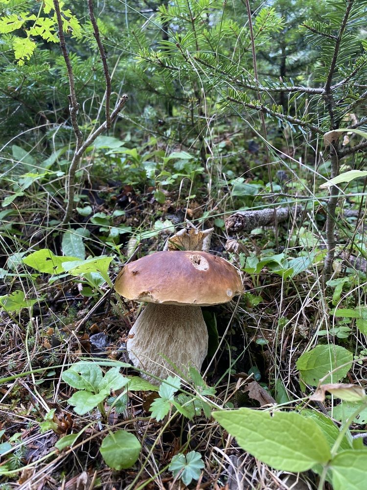 Photograph by Алиса Лукина