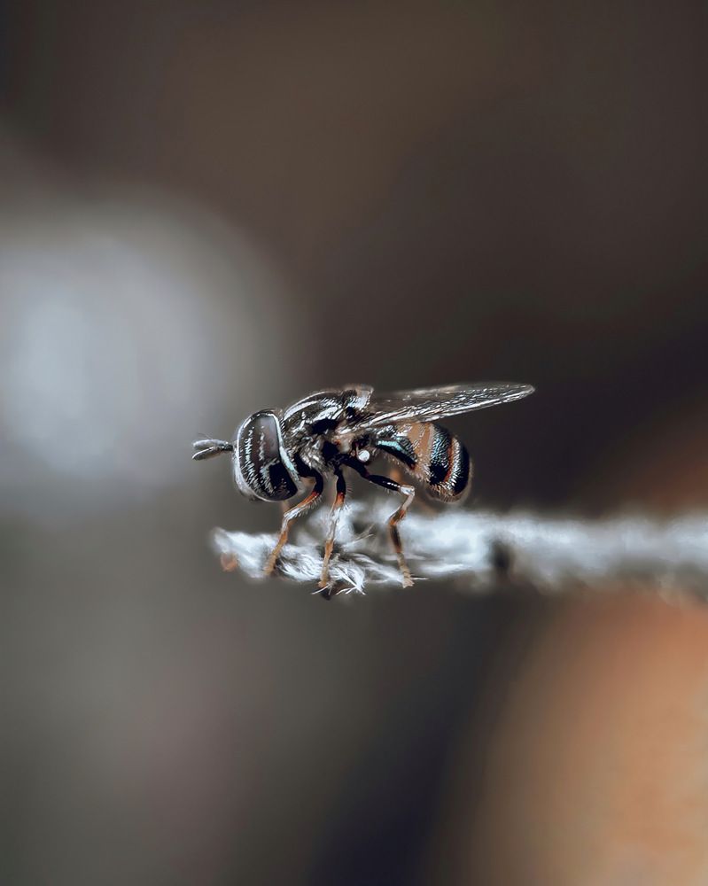 Photograph by Aaron R S