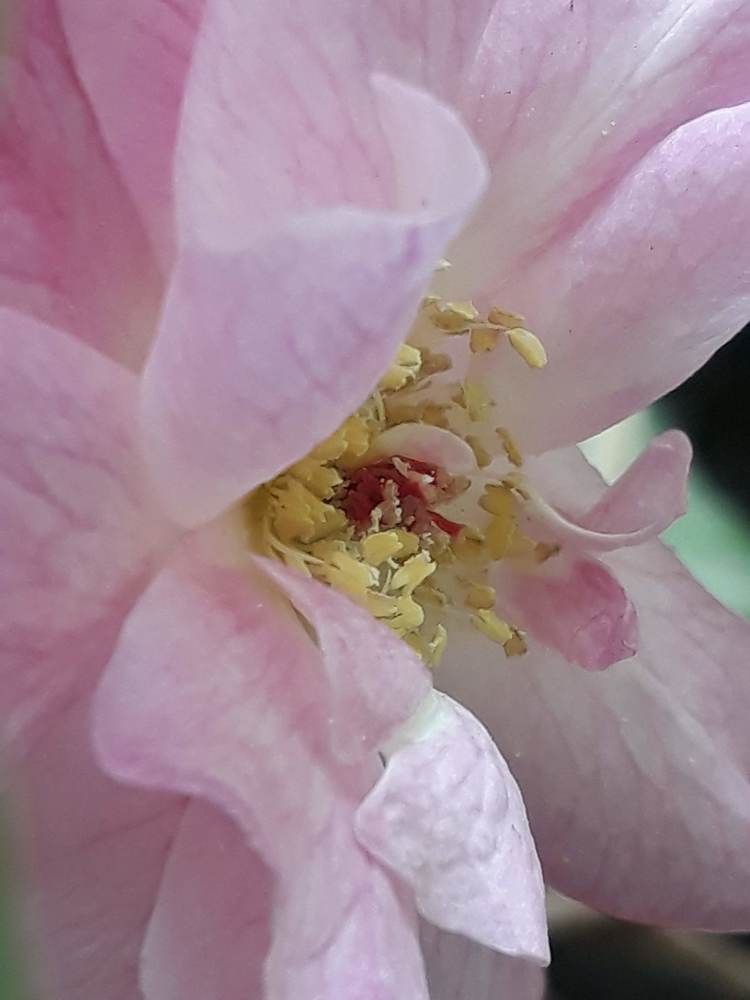 Photograph by Neel Bonna