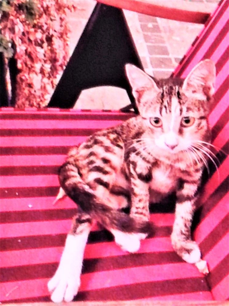 Photograph by Галина