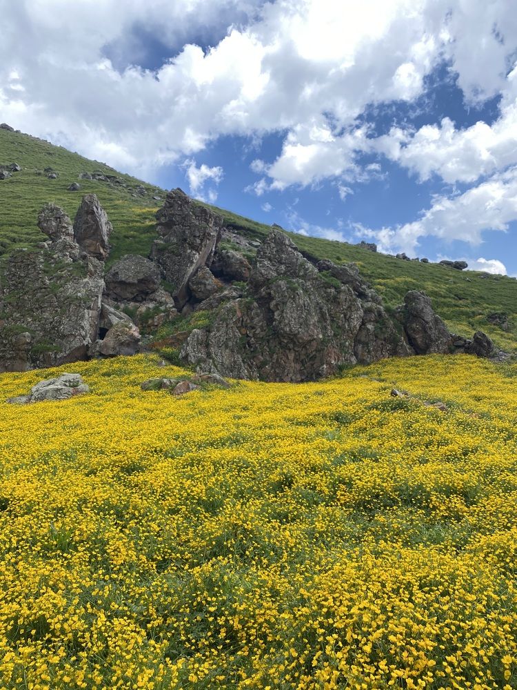 Photograph by Алиса Лукина